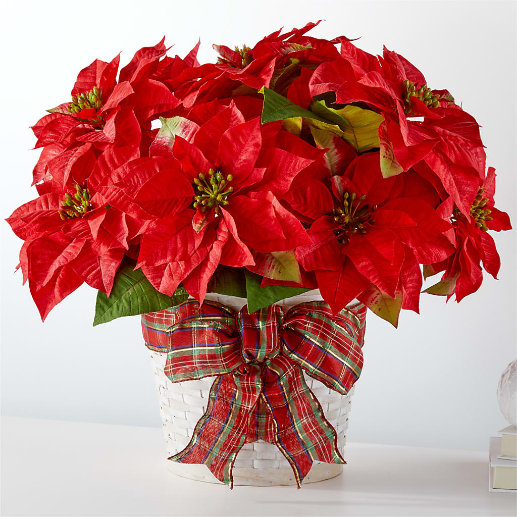 Happiest Holidays Poinsettia – Brunet Florist, Kanata ON