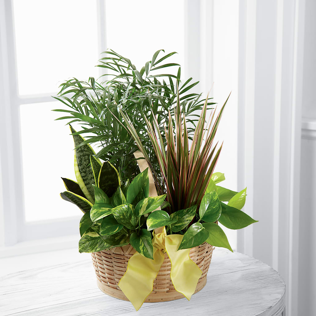 French Garden – Brunet Florist, Kanata ON