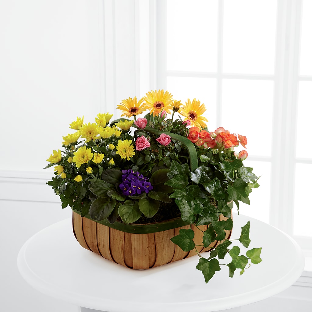 Gentle Blossoms Basket – Brunet Florist, Kanata ON