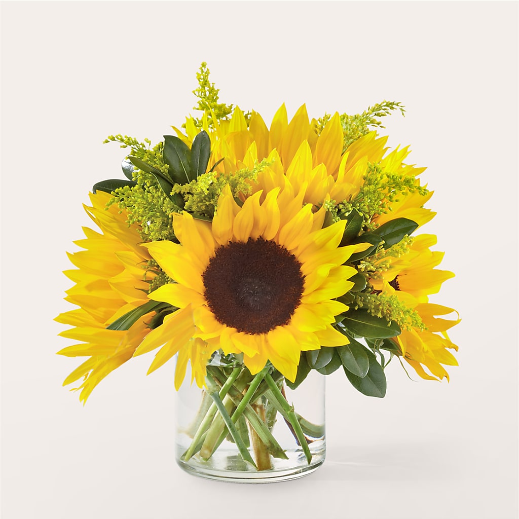 Beaming Sunflower Bouquet – Brunet Florist, Kanata ON