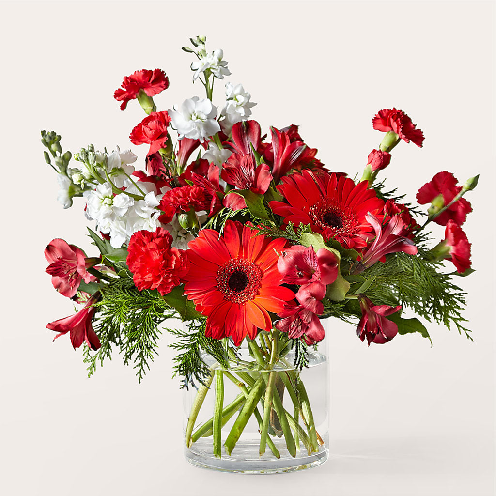 Holidaisy Bouquet – Brunet Florist, Kanata ON