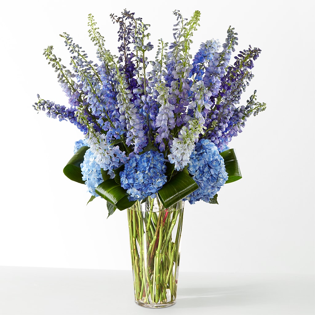 The Editorial – Brunet Florist, Kanata ON
