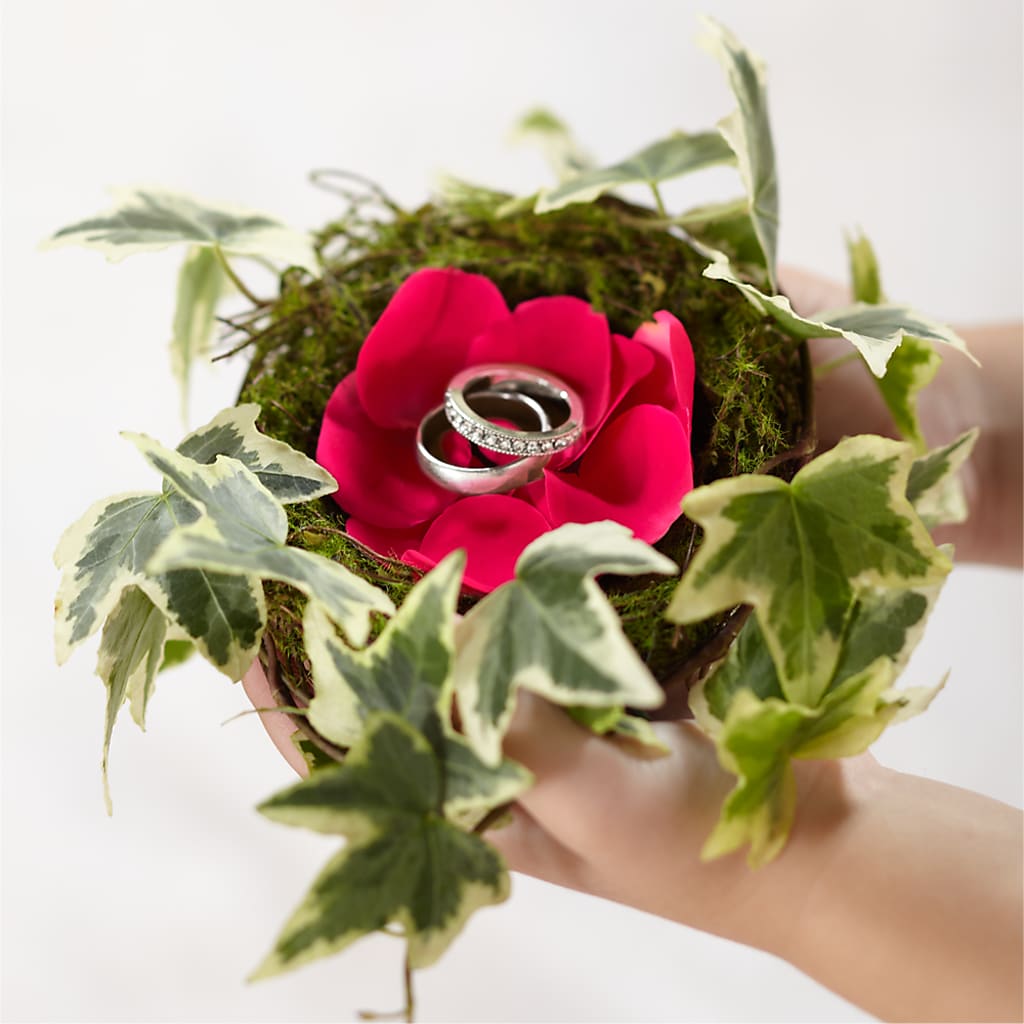 Lila Rose Ring Nest – Brunet Florist, Kanata ON