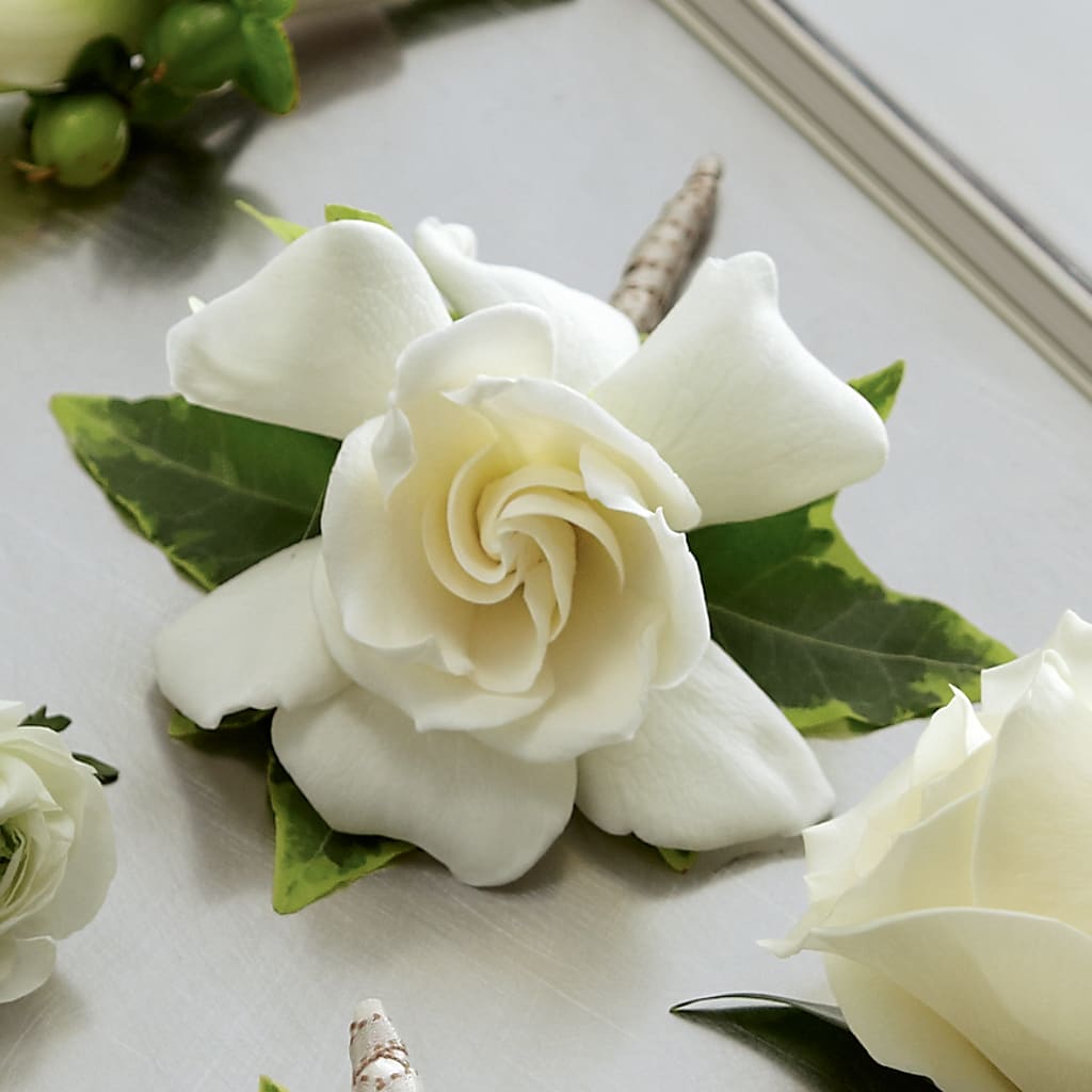 Gardenia Boutonniere – Brunet Florist, Kanata ON
