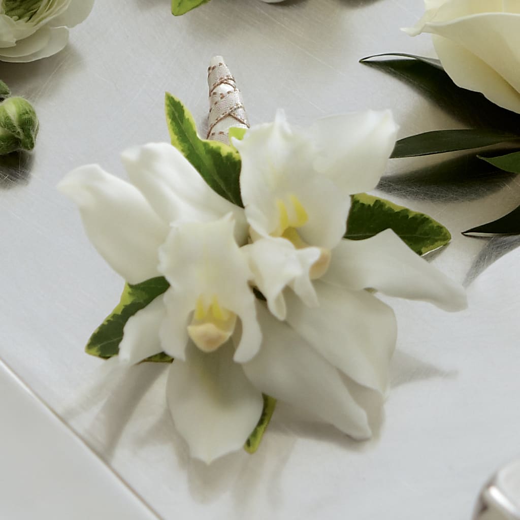 White Mini Cymbidium Boutonniere – Brunet Florist, Kanata ON