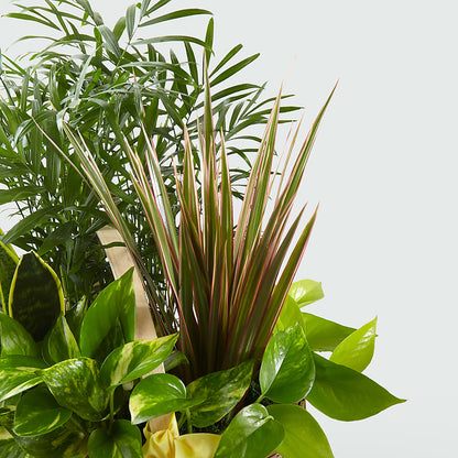 French Garden –  Brunet Florist, Kanata ON