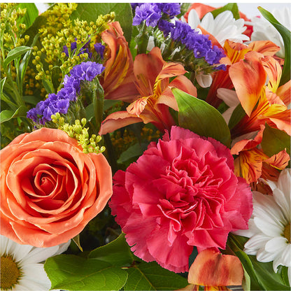 Oopsie Daisy Box Bouquet –  Brunet Florist, Kanata ON