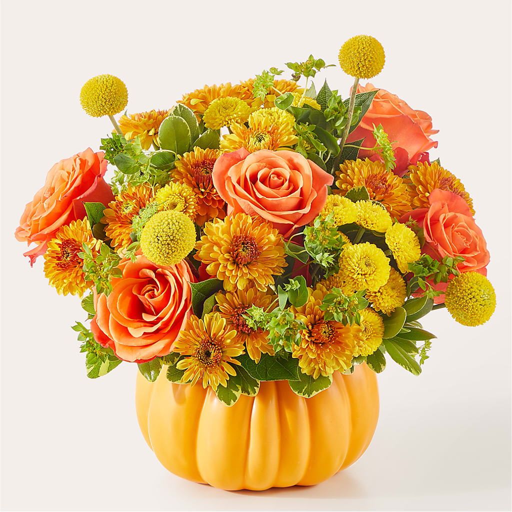 Gourdgeous Pumpkin –  Brunet Florist, Kanata ON