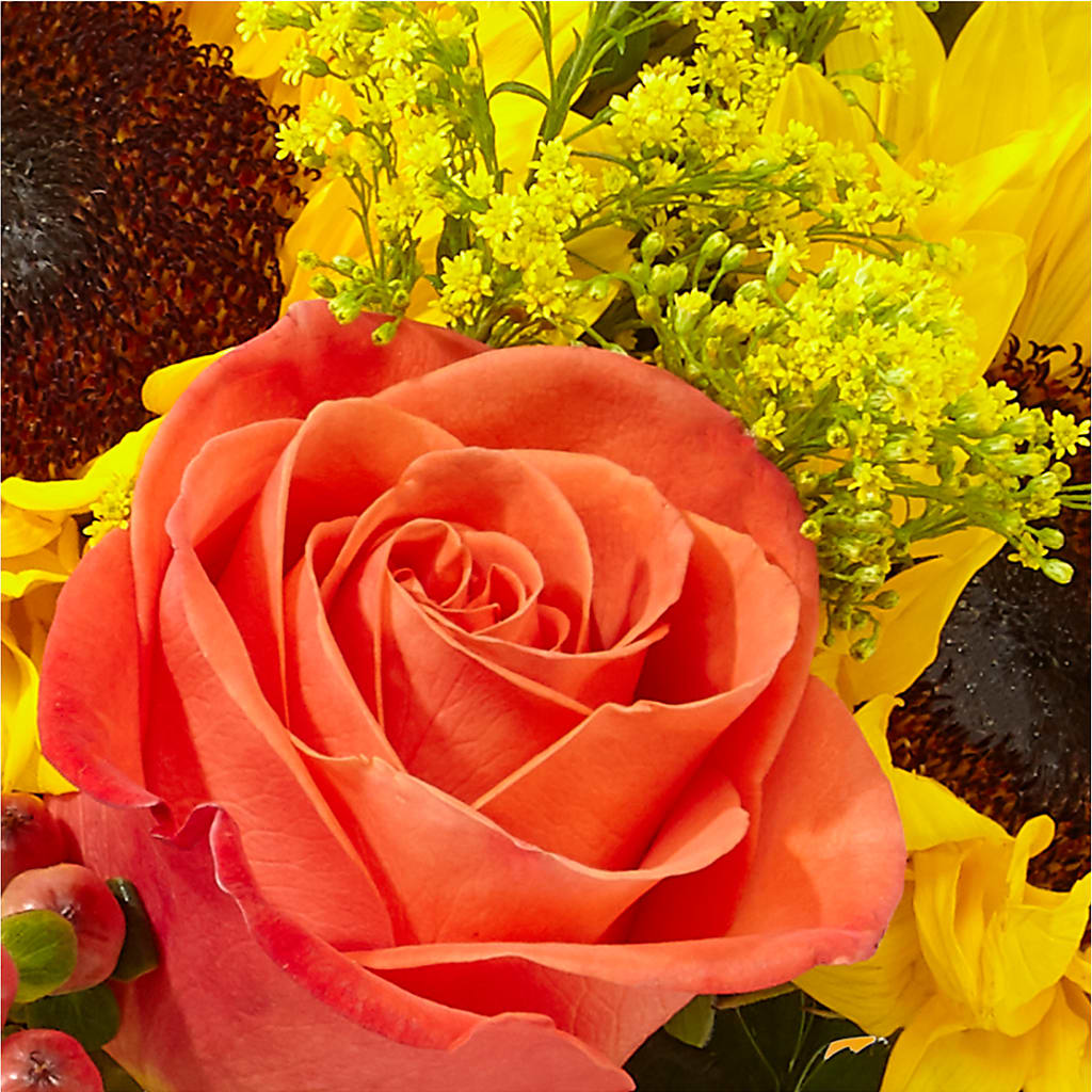 Pick of the Patch Pumpkin Bouquet –  Brunet Florist, Kanata ON