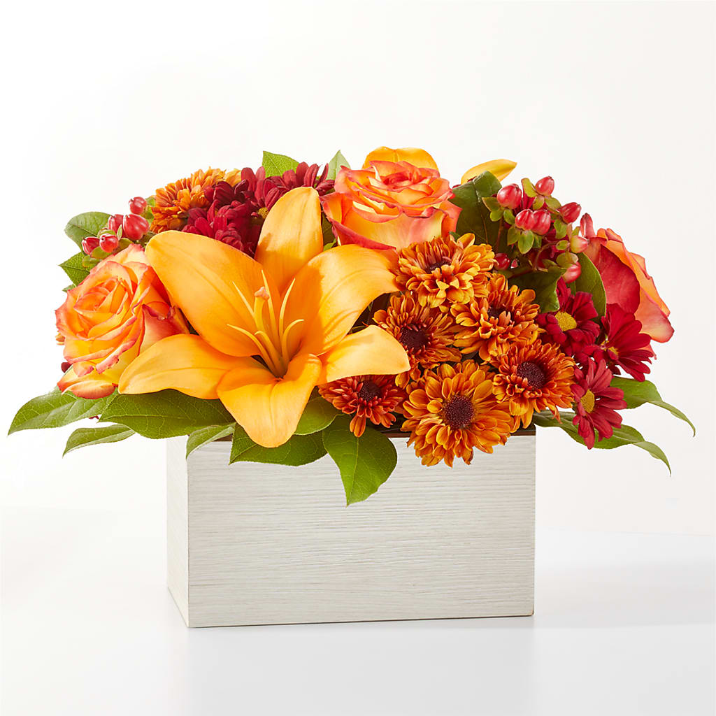 Ramo de fogata en el patio trasero