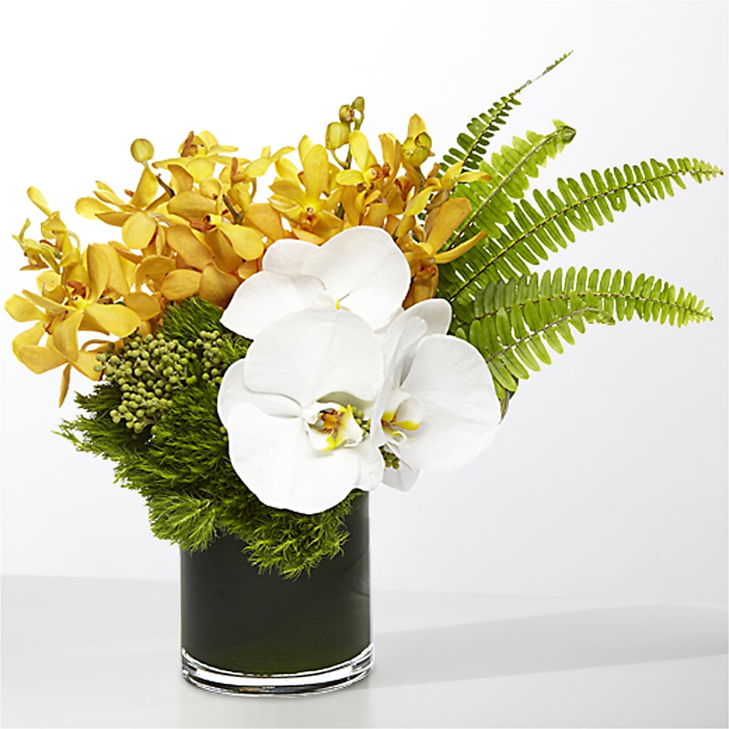 The Tropics –  Brunet Florist, Kanata ON