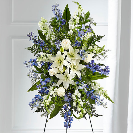 Spray de pie para amigo fiel