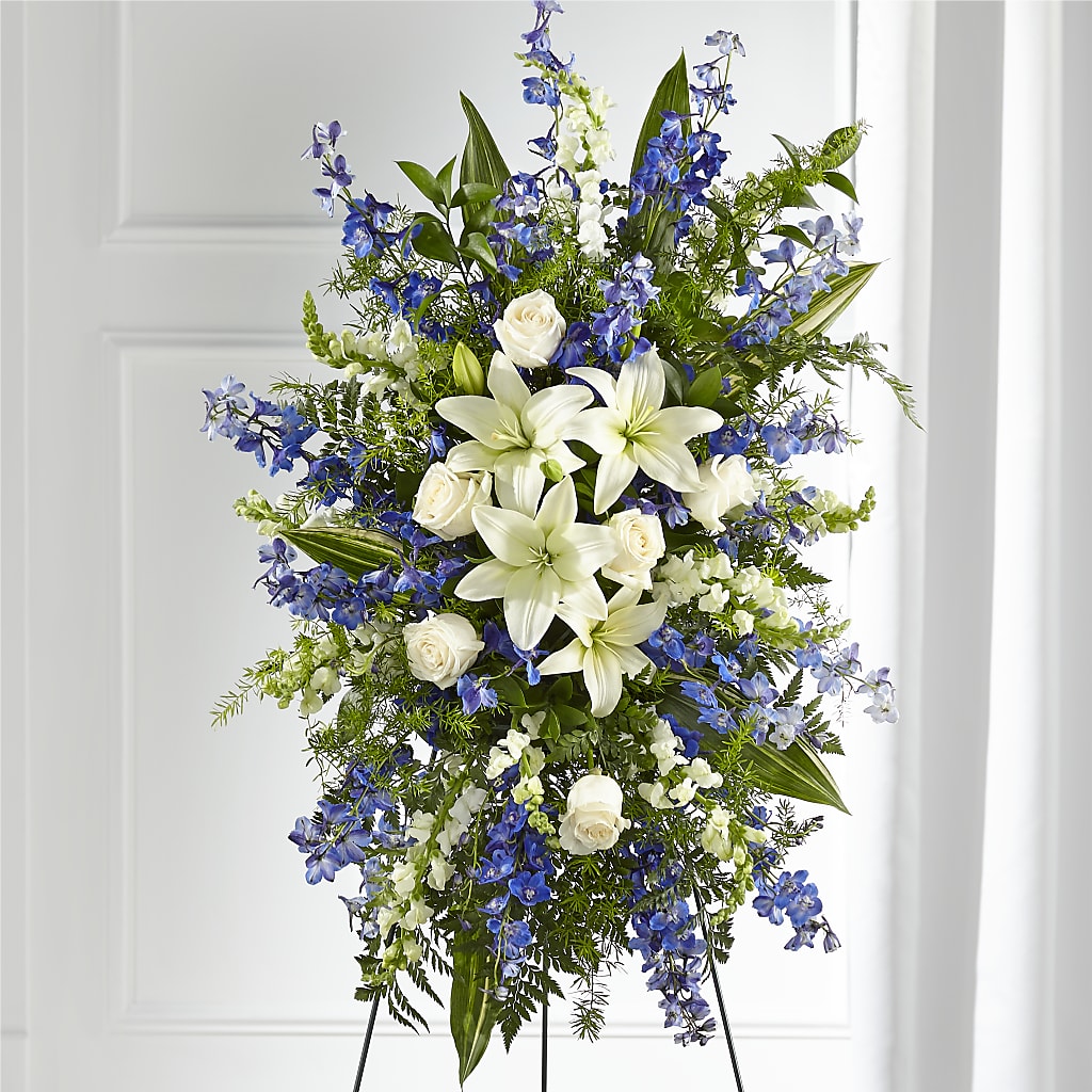 Spray de pie para amigo fiel