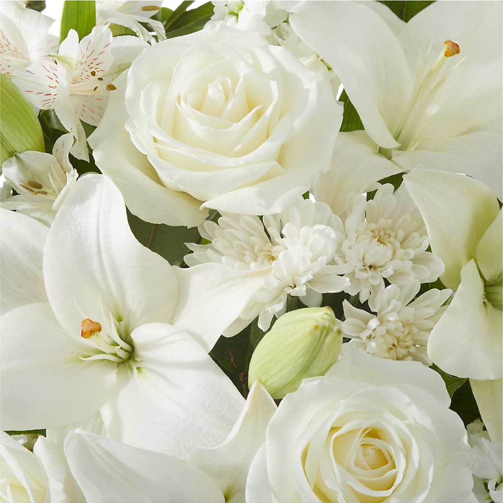 Peaceful Reflections Arrangement –  Brunet Florist, Kanata ON