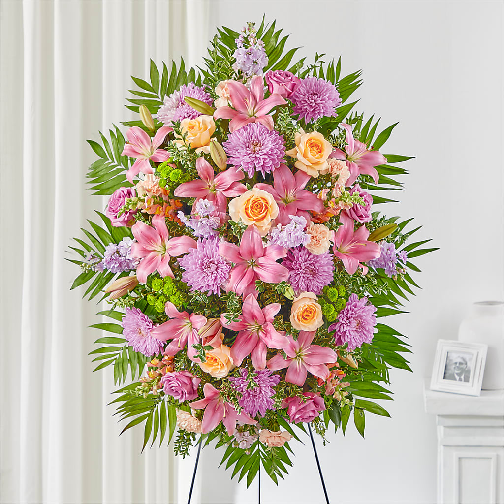 Amor y luz en aerosol