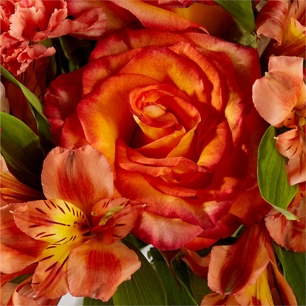 Apricot Glow Bouquet –  Brunet Florist, Kanata ON