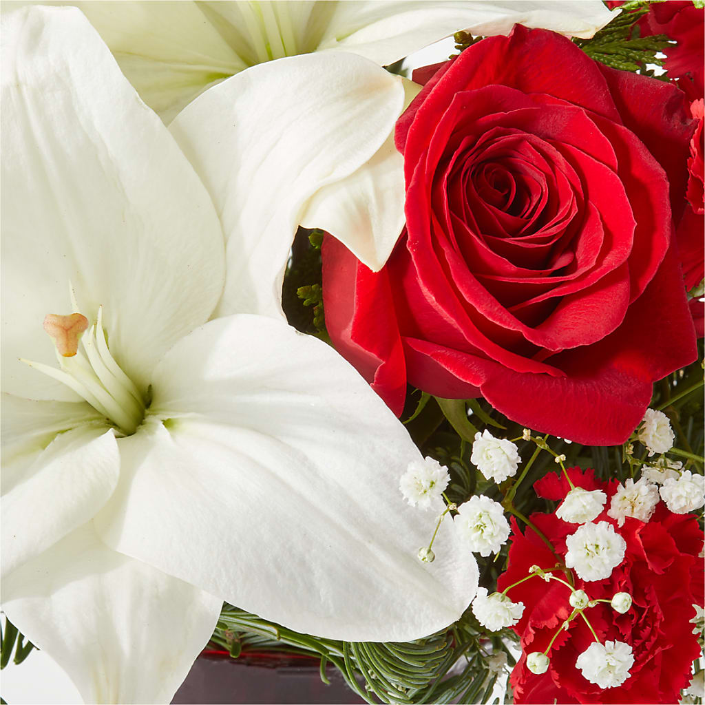 Holiday Season Bouquet –  Brunet Florist, Kanata ON