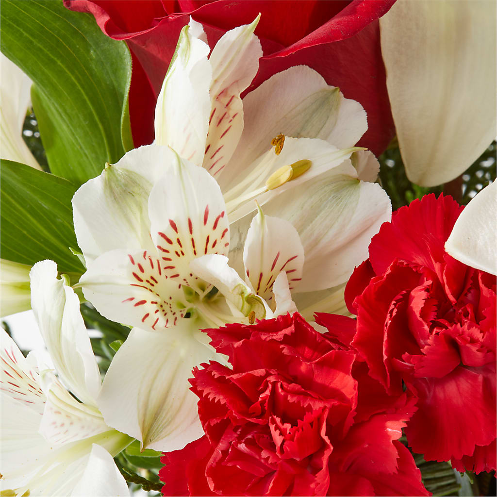Holiday Season Bouquet –  Brunet Florist, Kanata ON