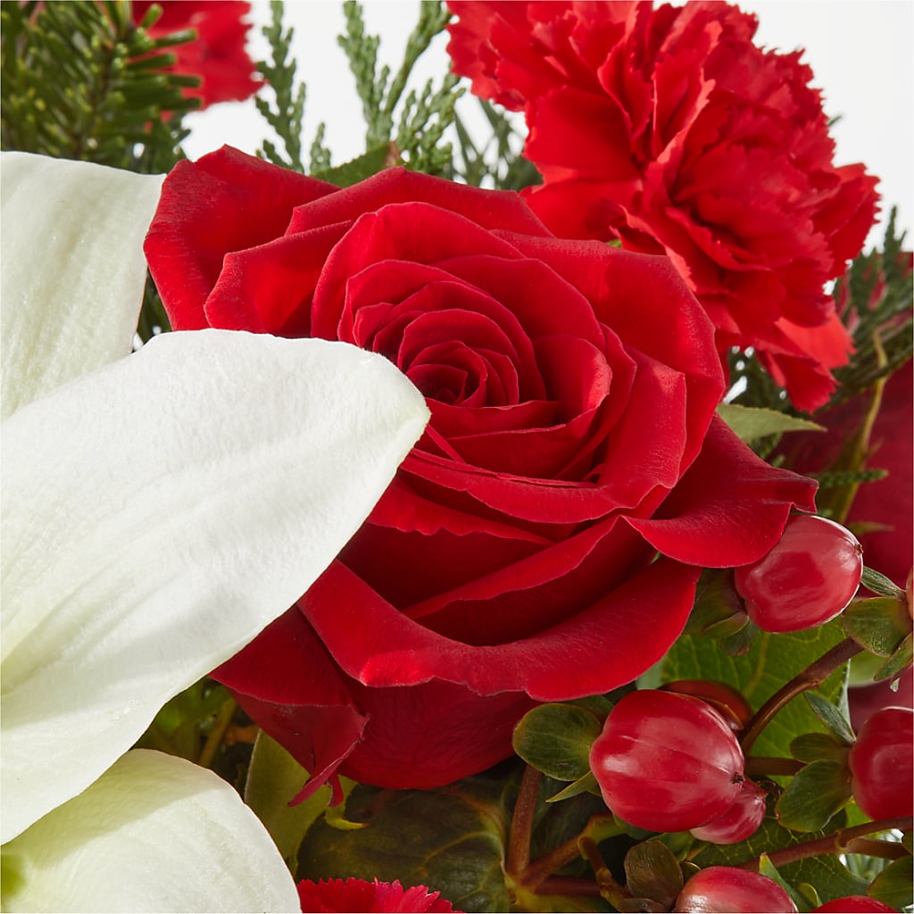 Oh So Jolly Bouquet –  Brunet Florist, Kanata ON