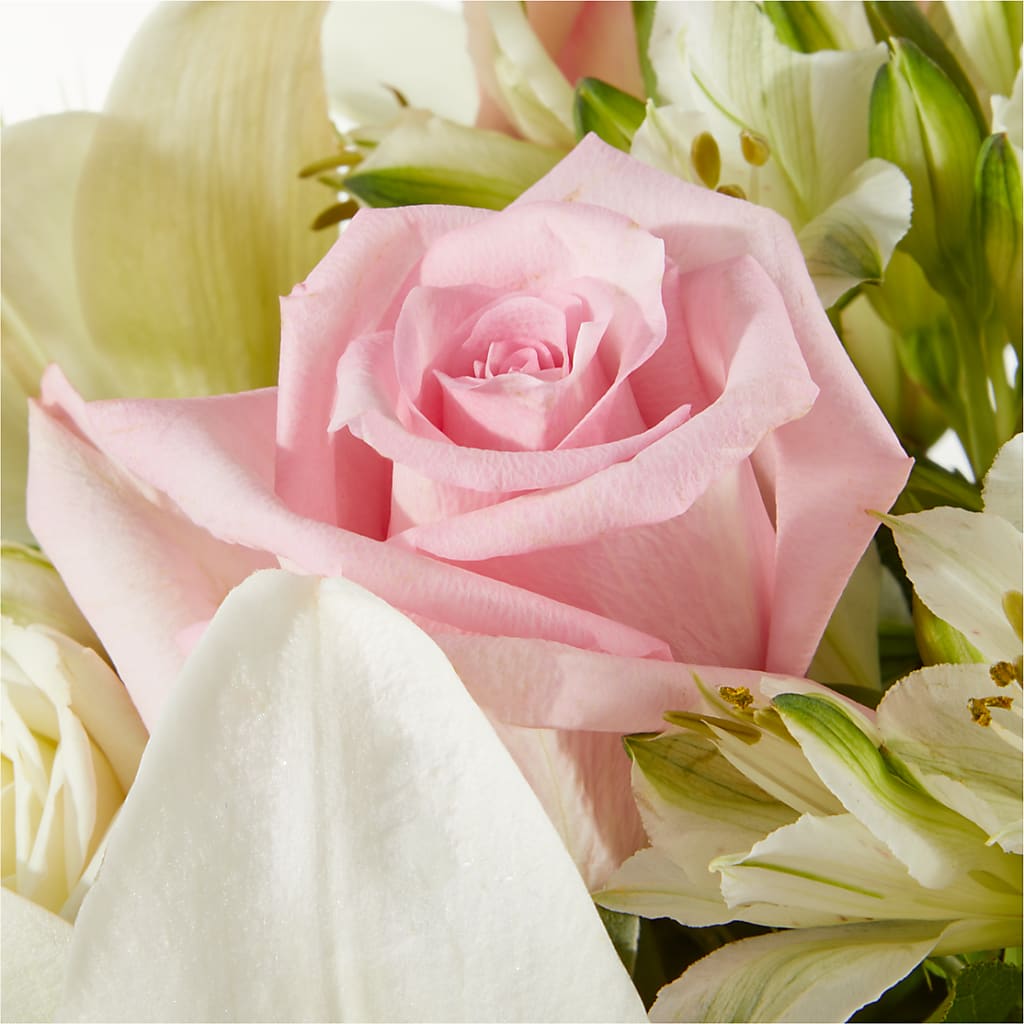 Kindhearted Bouquet –  Brunet Florist, Kanata ON
