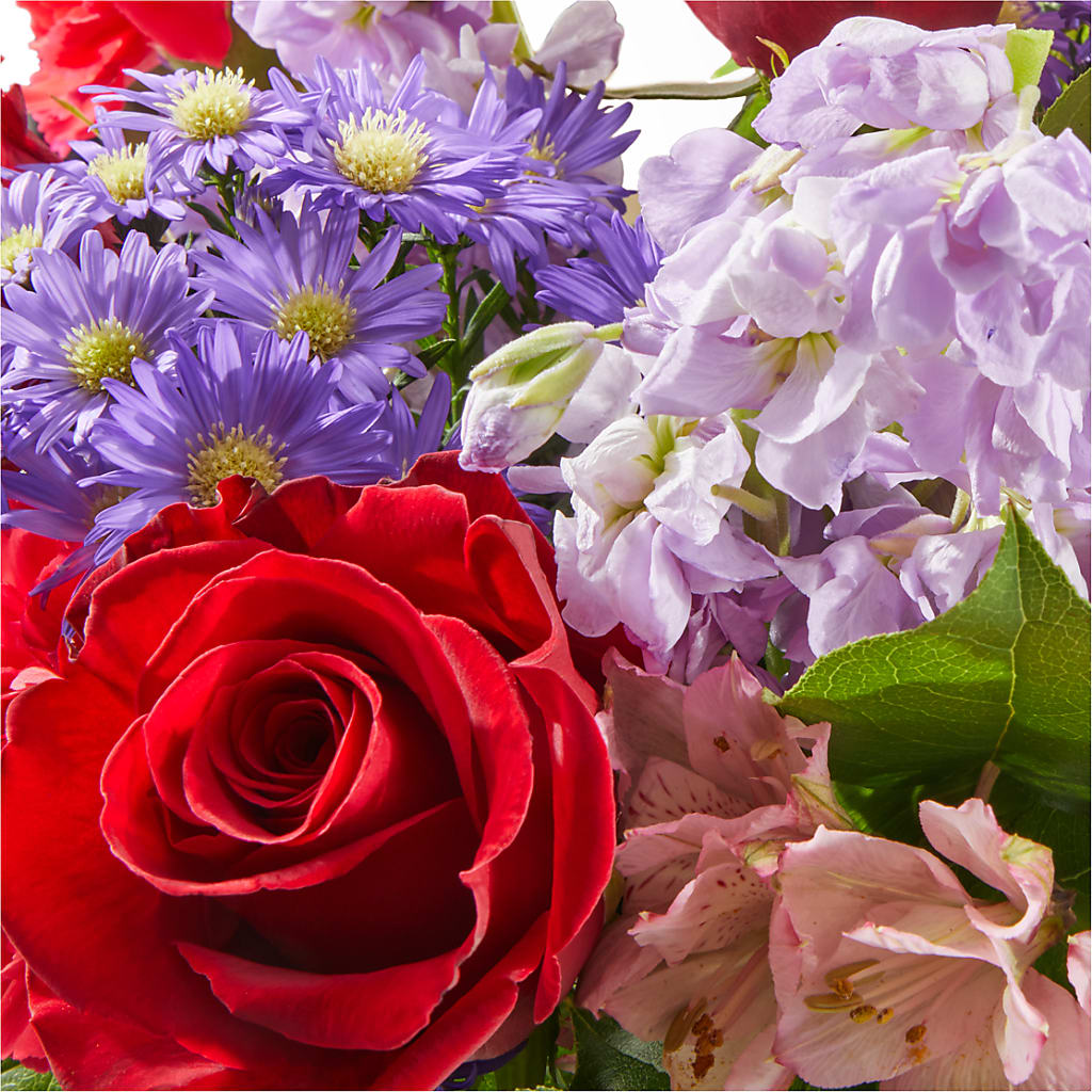 Your Majesty Bouquet –  Brunet Florist, Kanata ON