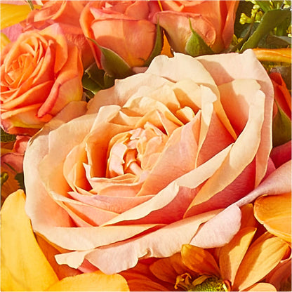 Harvest Hayride Bouquet –  Brunet Florist, Kanata ON