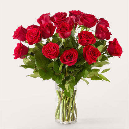 The One Red Rose Bouquet –  Brunet Florist, Kanata ON