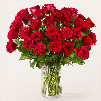 The One Red Rose Bouquet –  Brunet Florist, Kanata ON