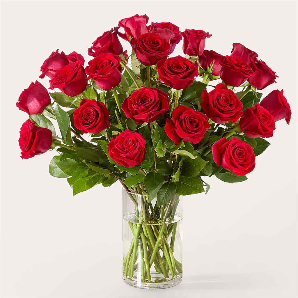 The One Red Rose Bouquet –  Brunet Florist, Kanata ON