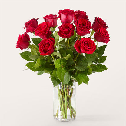 The One Red Rose Bouquet –  Brunet Florist, Kanata ON