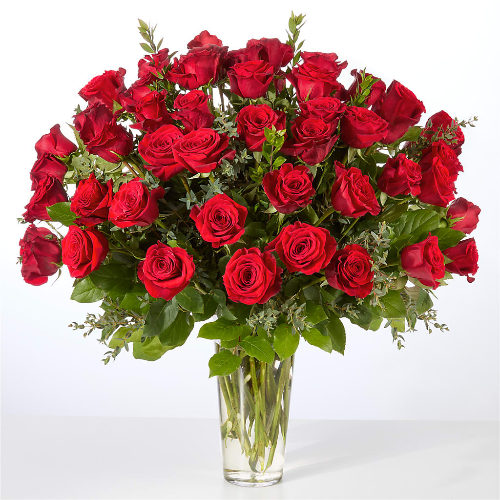 Forever Yours Fifty Stem Red Rose Bouquet –  Brunet Florist, Kanata ON