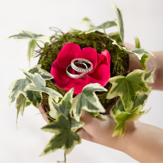 Anillo nido de rosa lila